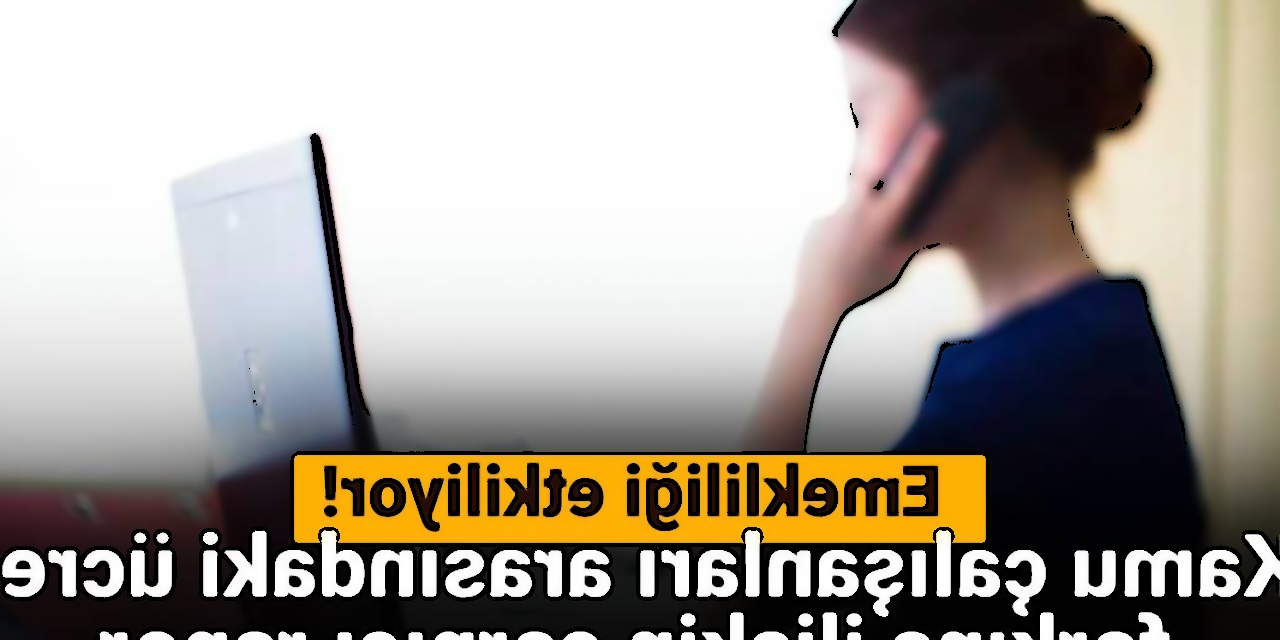 Kamu Çalışanlarının Maaş ve Emeklilik İkramiyeleri Üzerine Derinlemesine Analiz
